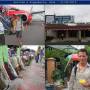 Indon�sie - 