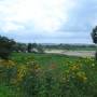 Pologne - 