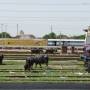 Inde - Taj Express