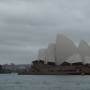 Australie - Giboul�es de printemps
