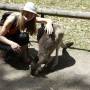 Australie - Sunshine Highway