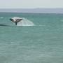 Argentine - Peninsula Vald�s.