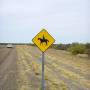Argentine - Les diff�rents panneaux de signalisation en Argentine.