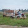 Thailande - Ici tout est different : tuc-tuc, camions, boeufs...