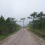 Thailande - Phu Kradueng