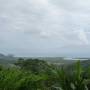 Australie - De la rainforest  � l�outback