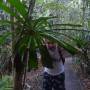Australie - De la rainforest  � l�outback