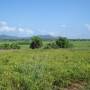 Thailande - Route secondaire pour aller a Loei
