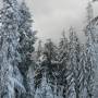 Canada - 