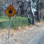 Australie - Une �le bien nomm�e