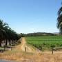 Australie - Une �le bien nomm�e