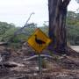 Australie - Une �le bien nomm�e