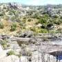 Australie - Une �le bien nomm�e