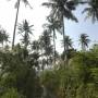 Thailande - Lonely beach