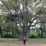 Australie - 