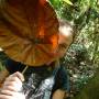 Thailande - Parc National Khao Yai