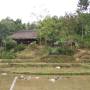 Vietnam - 