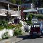 Nouvelle Z�lande - Akaroa