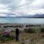 Nouvelle Z�lande - 