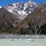 Nouvelle Z�lande - 
