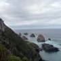 Nouvelle Z�lande - The Catlins