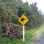 Nouvelle Z�lande - 