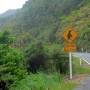 Nouvelle Z�lande - 