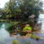 Nouvelle Z�lande - The Pupu springs