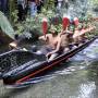 Nouvelle Z�lande - Spectacle maori