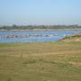 Cambodge - Des maisons flottantes sur le Mekong