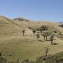 Nouvelle Z�lande - Golden Bay