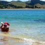 Nouvelle Z�lande - 