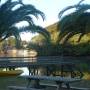 Nouvelle Z�lande - 