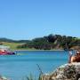 Nouvelle Z�lande - 
