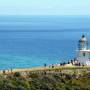Nouvelle Z�lande - 