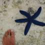 Nouvelle Cal�donie - Ile des pins