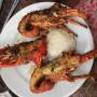 Nouvelle Cal�donie - 