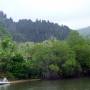 Nouvelle Cal�donie - Les falaises de Linderalique a Hienghene
