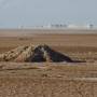 Argentine - Mirage sur l'alti plano