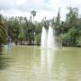 Argentine - Joli Parc au coeur de Salta