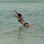 Inde - Regardez l'athlete !