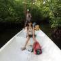 Indonésie - Balade dans la mangrove