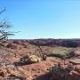 Uluru - Kata Tjuta - Kings...