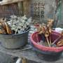Indonésie - brochette de rue -BBQ