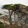 USA - Monterey - Peeble beach