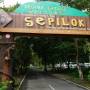 Malaisie - Centre de réhabilitation des orangs-outans de Sepilok