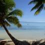 Polynésie française - Mooréa - Les Tipaniers - la plage