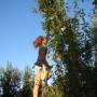 Australie - 