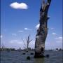 Australie - 