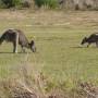 Australie - Wilson Promotory National Park